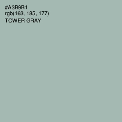 #A3B9B1 - Tower Gray Color Image
